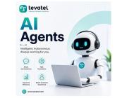 AI Agent Solution Provider
