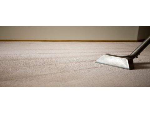 Professional Rug Cleaning Melbourne Experts