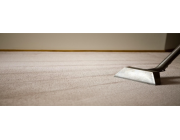 Professional Rug Cleaning Melbourne Experts