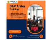 Master SAP Ariba with Version IT – The Best SAP Ariba Training in Bangalore for Career Success