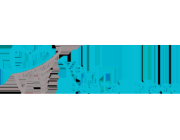 Dental White Fillings Near Chadstone | White Fillings Chadstone | Your Dental Place Glenhuntly