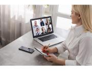 Business Growth Consultant