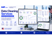 Protect Your Brand Domain via Data Cleaning Services