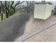 Roof moss removal companies near me