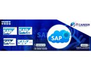 Best SAP CPI Training Institute in Hyderabad