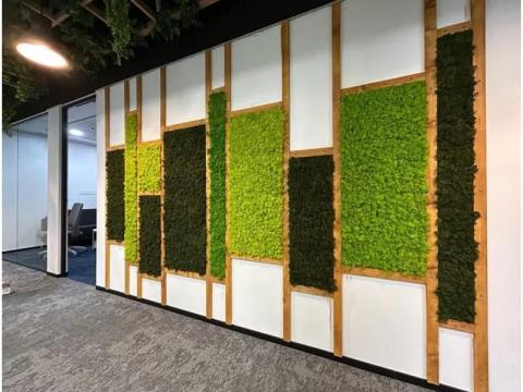 Vertical Garden Service for Homes & Offices GreenLands