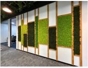 Vertical Garden Service for Homes & Offices GreenLands