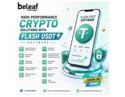 High-performance crypto solutions with Flash USDT