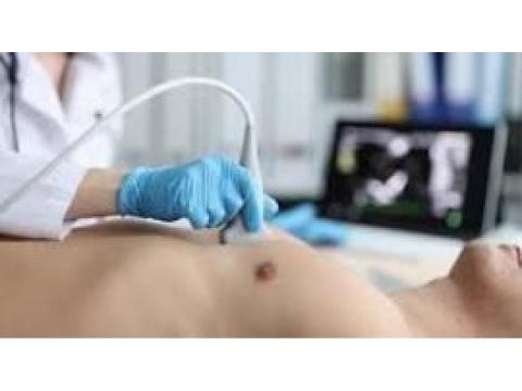Echocardiogram Beveridge