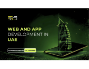 Choosing Website Development in UAE? See Why Businesses Pick SaptTech Labs