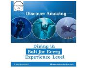 Discover Amazing Diving in Bali for Every Experience Level