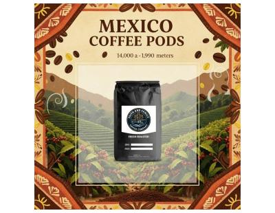 Shop Single Origin Coffee Beans Online in USA for Fresh, Premium Coffee