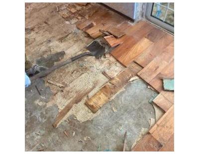 Mold Remediation Company Florida | Rapid Recovery Team