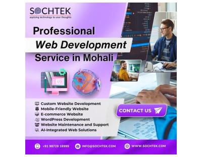 Professional Web Development Services in Mohali