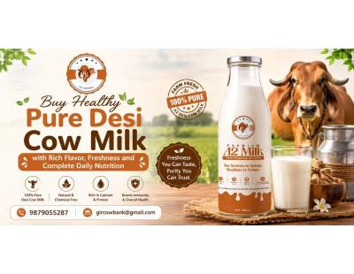 Buy Healthy Pure Desi Cow Milk with Rich Flavor, Freshness and Complete Daily Nutrition