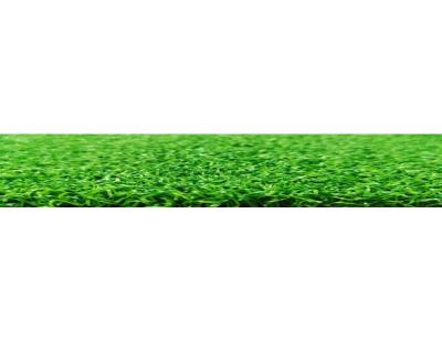 Top Artificial Grass Price Guide