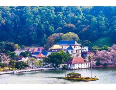 Sri Lanka Holidays Package: Explore an Island Full of Experiences