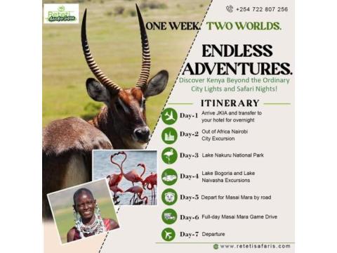 Book Tanzania Safari Packages from India for an Amazing Wildlife Experience