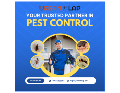 Pest Control Services in Dubai UAE