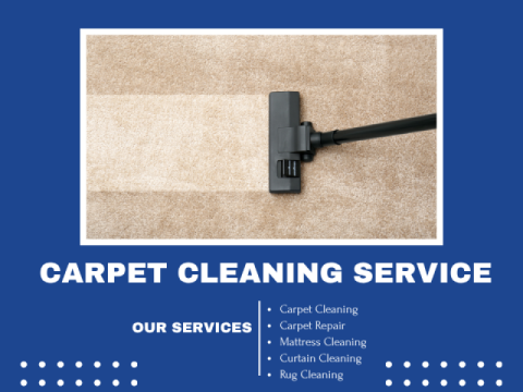 Carpet Cleaning Pyrmont made simple and reliable