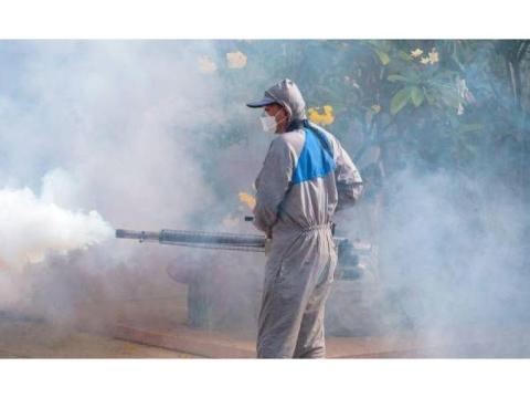 Mosquito Control Service