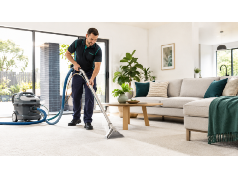 Quality Carpet Cleaning Kingsley You Can Rely On