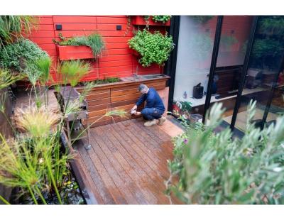 Solar Inverter Repairs Coburg | Enelex Electrical Services
