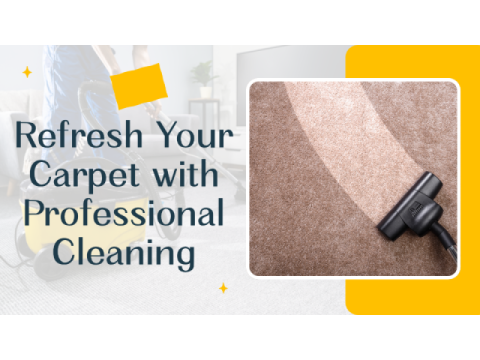 Quality Carpet Cleaning Cannington Solutions