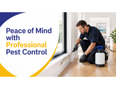 Reliable Pest Control Eltham for Homes and Businesses