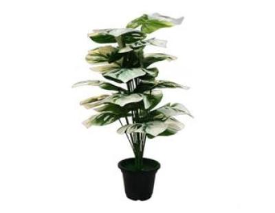 Shweta Enterprise - Artificial Plants & Grass
