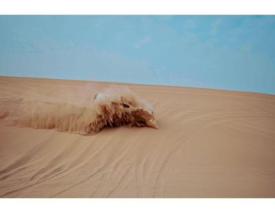 Best Desert Tour Company  & City Tour Operator in Abu Dhabi
