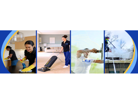 Local Carpet Cleaners - Details & Dixon’s