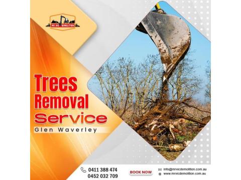 Safe Tree Removal Service in Glen Waverley