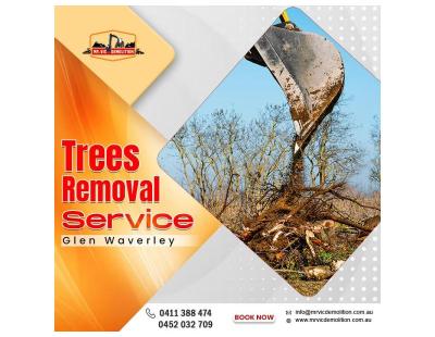 Safe Tree Removal Service in Glen Waverley