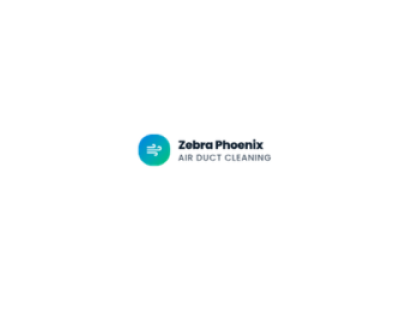 Zebra Phonix Air Duct Cleaning
