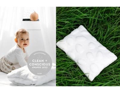 Why Are Organic Toddler Pillows Better for Your Child?
