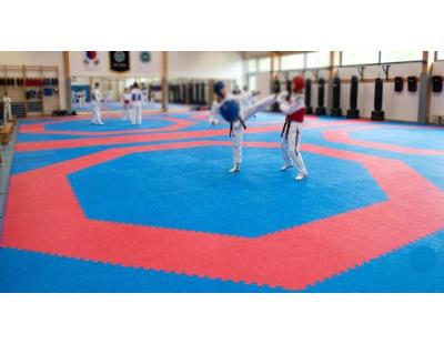 Online Buy Taekwondo Mats in India | Gravolite