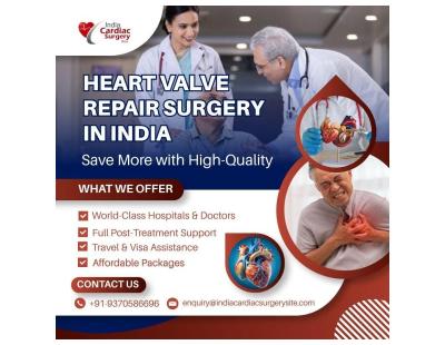 India Cardiac Surgery Site