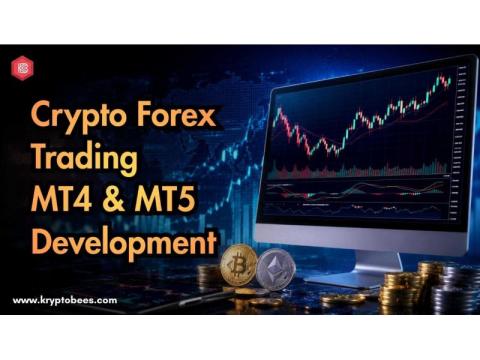 Leading Crypto Forex Trading MT4 & MT5 Development Partner