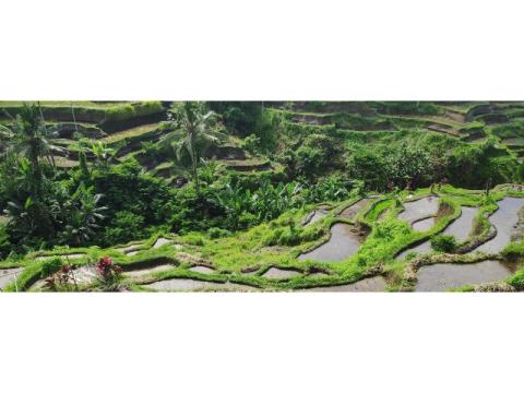 Luxury Bali Getaway – Seminyak Beach, Spa & Private Villas - 2/2