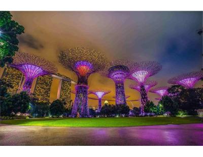 Singapore Holidays Package: A City That's Easy to Enjoy