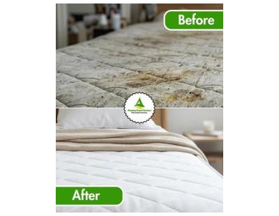 Carpet Cleaning Experts in North Brisbane | Best Carpet Cleaning Services for Homes & Offices