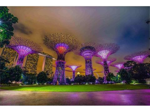 Singapore Holidays Package: Experience the Best of the Lion City