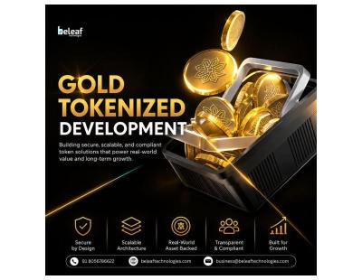 Gold Tokenized Development Solutions for Businesses Entering Digital Gold Markets