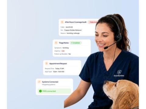 veterinary call overflow service