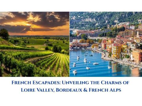 Escape to Provence for a Luxury French Getaway | Odyssye Travels - 2/2