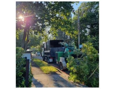 Mulching Services Castle Cove - Sam's Tree Services North Shore