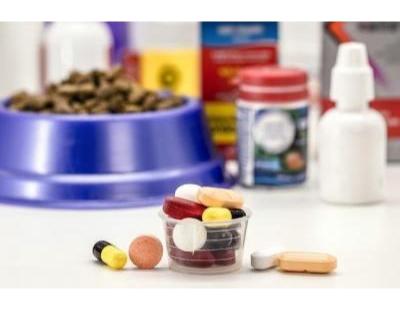 Toxin Binder Manufacturers