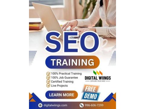 Digital Wiings – One of the Best SEO Training in Hyderabad