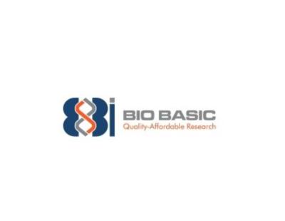 High-Quality Molecular Biology Kits